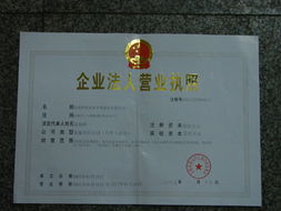 企業(yè)護(hù)航 從注冊(cè)到審計(jì)的全方位工商財(cái)務(wù)指南