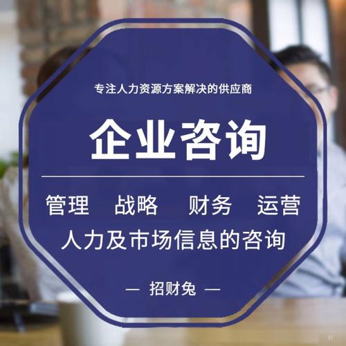 企業(yè)管理咨詢財(cái)務(wù)人力市場(chǎng)信息咨詢顧問(wèn)服務(wù)