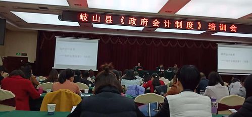 專業(yè)護(hù)航企業(yè)成長(zhǎng) 寶雞澎海財(cái)務(wù)咨詢服務(wù)解析